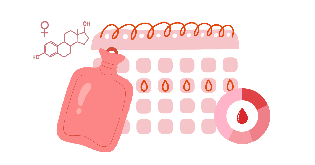 Menstrual Cycle 101: Understanding the Basics